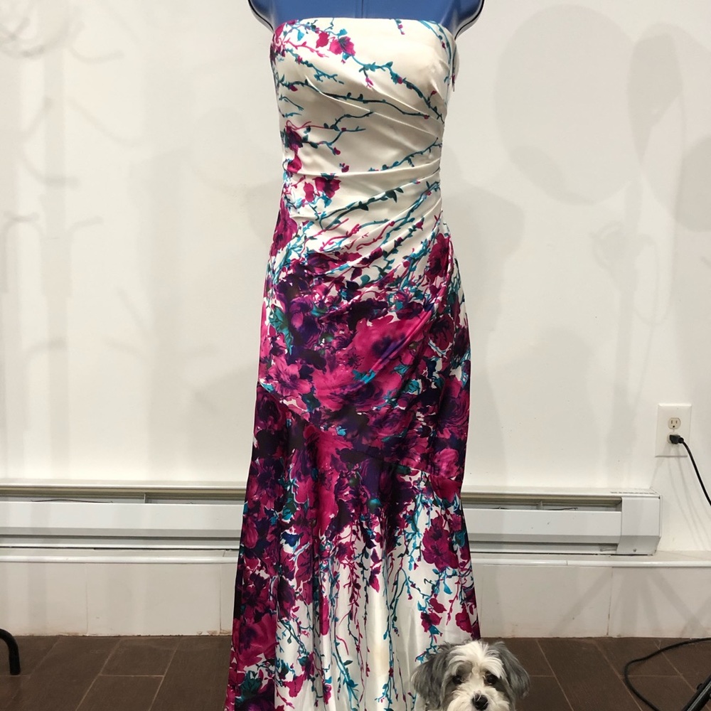 Cinderella divine dress